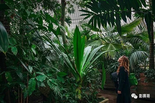 尼康历代获奖摄影作品欣赏,国际风光摄影师大赛