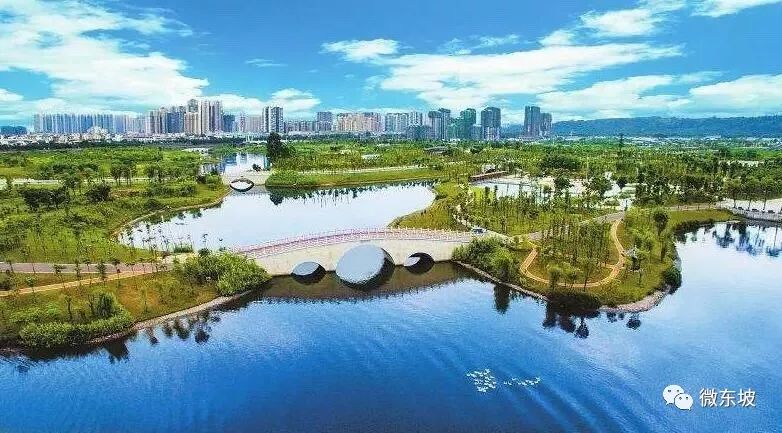 2024眉山东马马拉松起跑点,眉山东马半程马拉松比赛2021