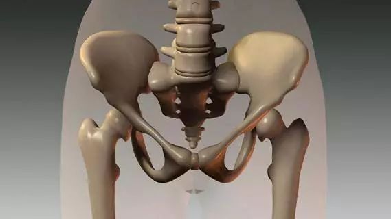 女人骨盆移位怎么造成的,女性骨盆倾斜的纠正手法