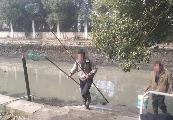 打击非法捕捞整治违规垂钓,严厉打击非法捕捞的重要性