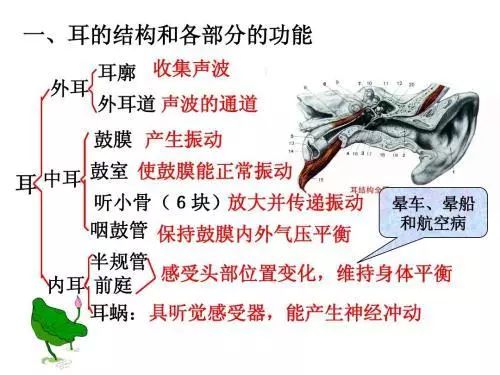 长航第一次出发,准备出海但是晕船怎么办