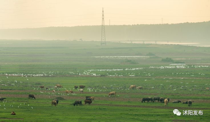 带你了解沭阳,普及沭阳知识