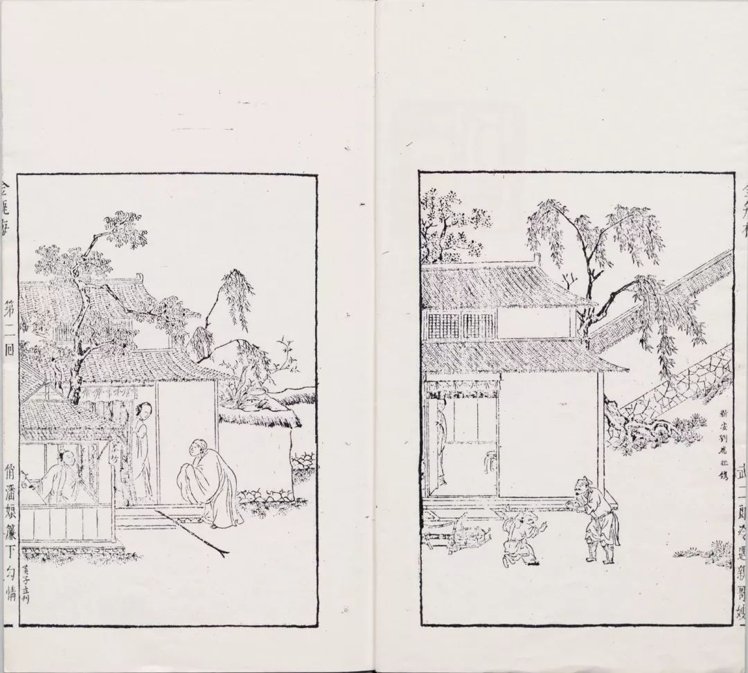 日本蝴蝶兰插画图片,红掌花花瓶插画