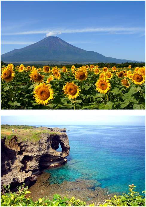 第一次全家日本旅游推荐,世界那么大带上全家游日本