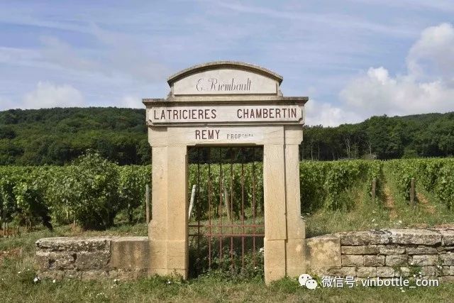 大年2015阿兰伯格alainburguet正式发售，超低优惠，一次囤够