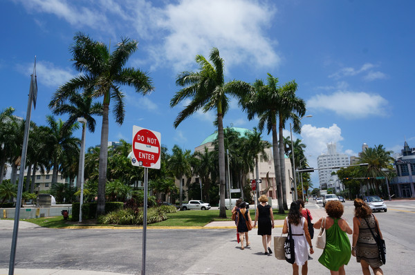 老人旅行欧洲,12位老人游上海