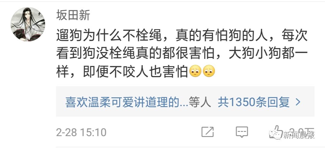又是遛狗不牵绳！泰迪起身走了两步吓得老人摔成9级伤残，狗主人被判赔20万！