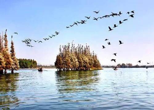 武汉六大湿地公园,百湖之市武汉