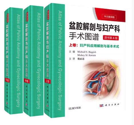 3.8女王节小说,3.8女王节严选