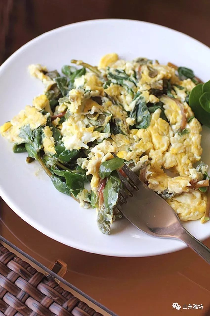 春天吃什么野菜补血最快,春天吃什么野菜下火最多