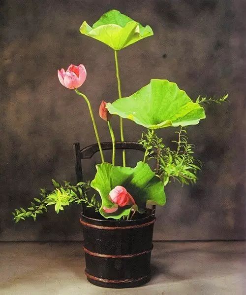 最难写的汉字10个字,最复杂难写的十个汉字