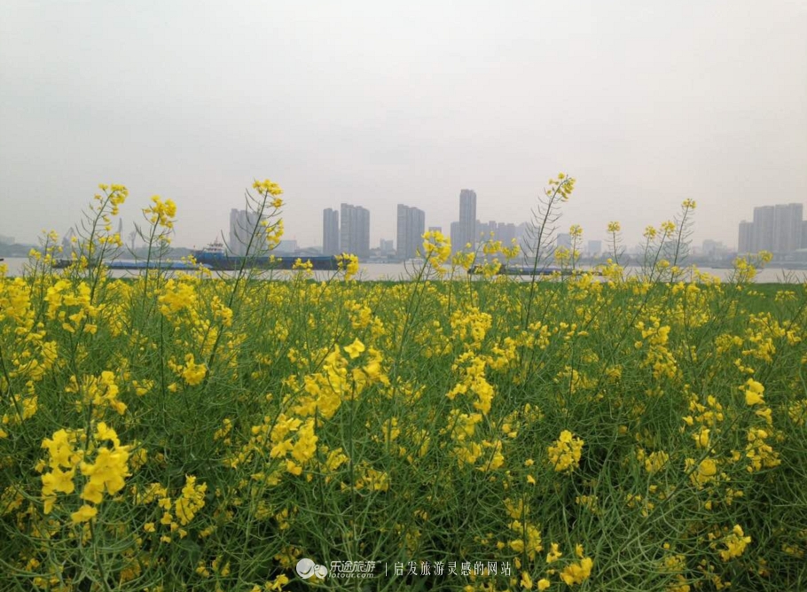 乡关何处是演唱视频,乡关何处是原唱完整版