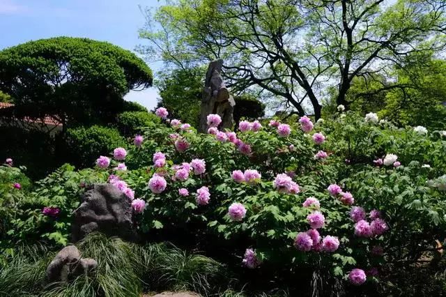 上海人春天爱吃的美食,春天上海最好吃的东西