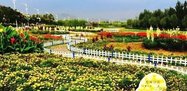 鹿泉网红打卡地免费,鹿泉太平河网红打卡圣地