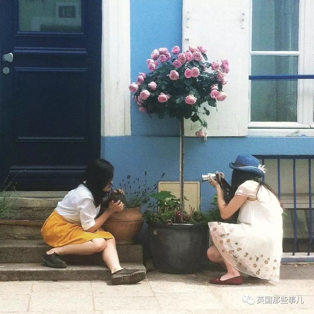 当自家门口变成网红打卡地 (一不小心家门口成了网红打卡地)