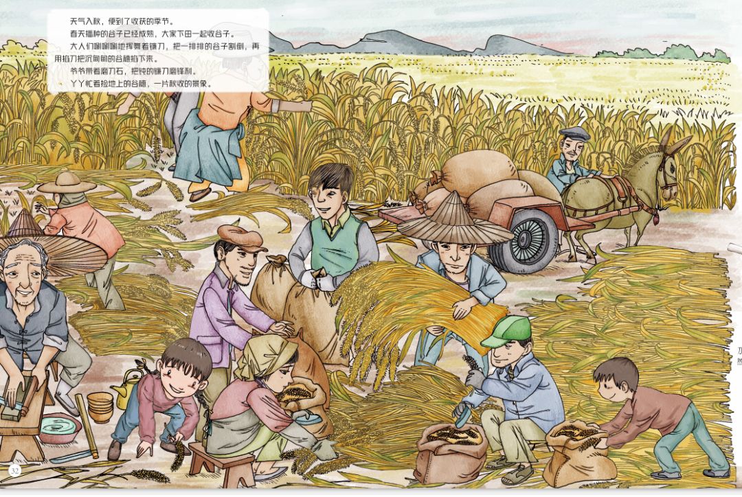 田野里的自然历史课读后感五年级,田野里的自然历史课pdf百度云