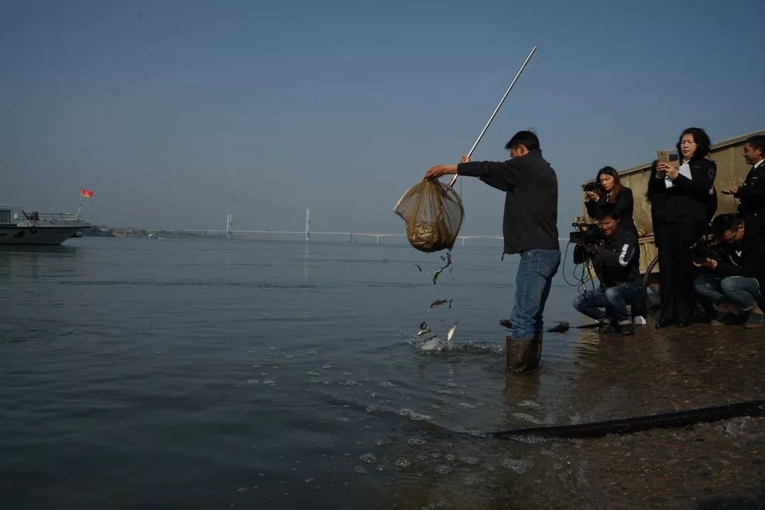 2019/3/7,678全力推进检察公益诉讼为建设美丽荆州筑牢“司法屏障”