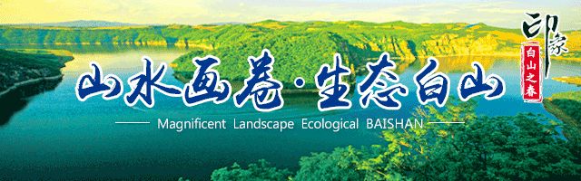 白山林源春生态科技有限公司,白山林源春生态科技