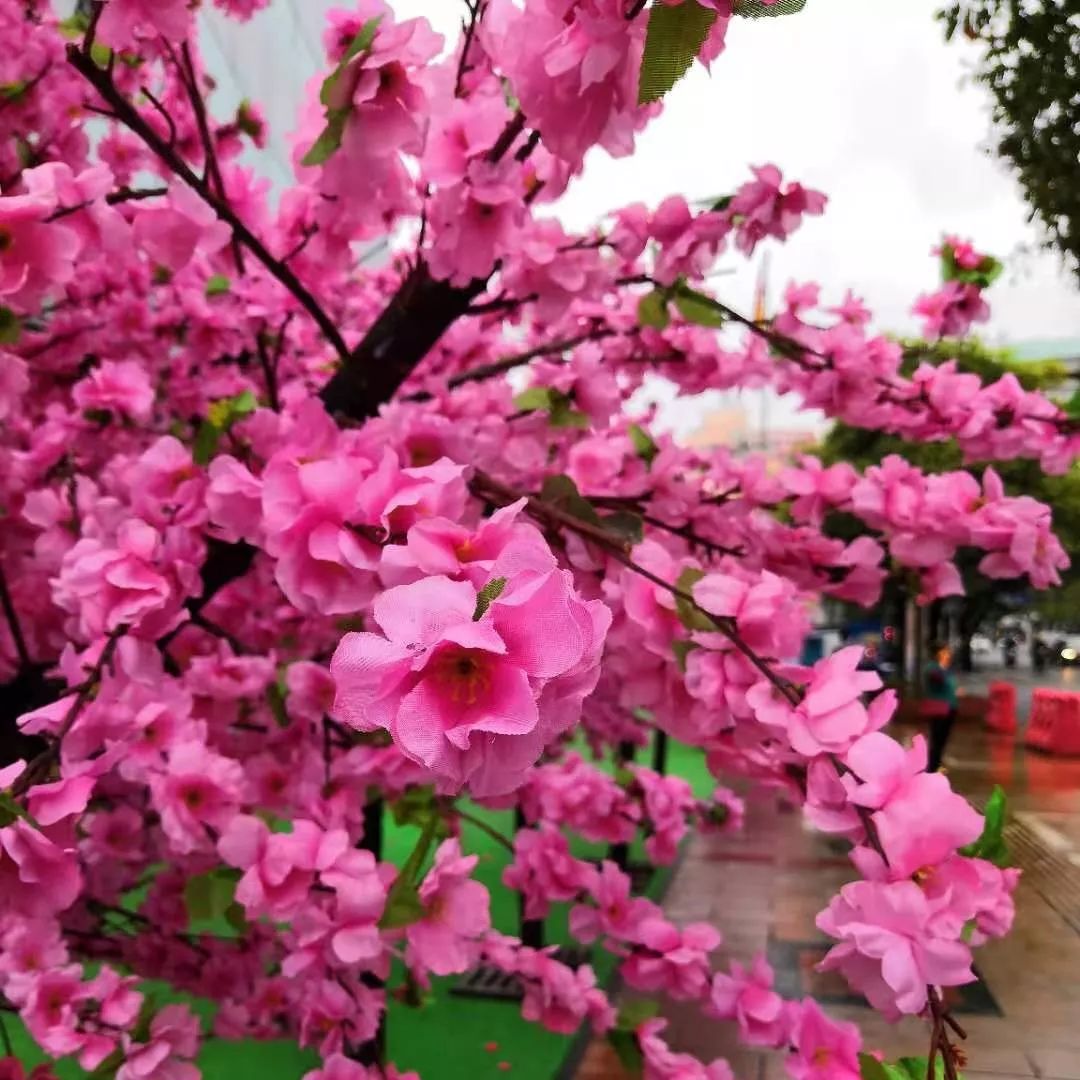 这个地方要火了,玉林打卡网红地古镇