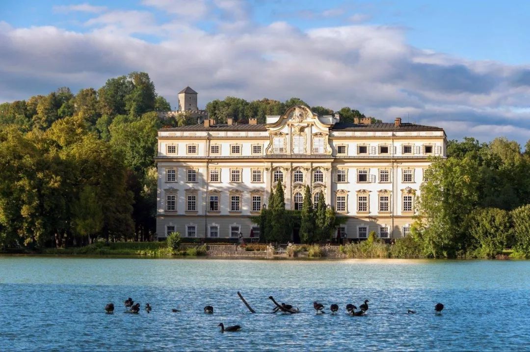 女神节花海一日游,女神节桃源一日游活动