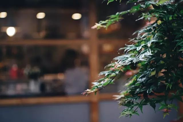 一室一卫出租屋改造全过程,房屋改造出租屋全过程