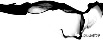 美得不像话！通州玉兰花开早腊梅绽放报春来