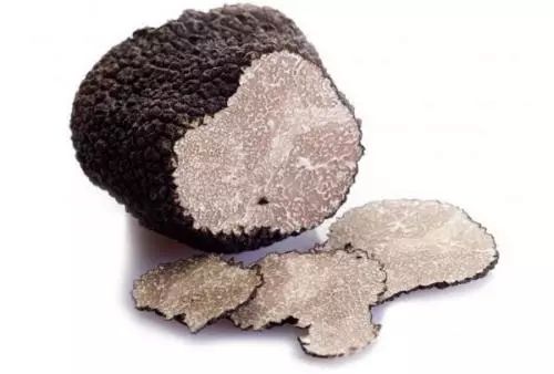 松露和松露的区别在哪,最昂贵的松露是什么