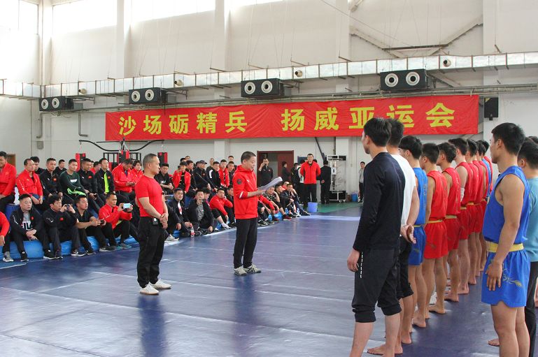 武术散打培训计划,全国武术散打培训班