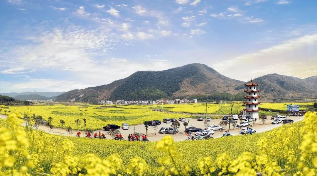 咸宁市赏花景点有哪些景区,诗意踏青春暖花开