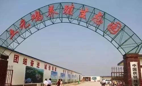 925交通广播旅游,925交通广播实时直播