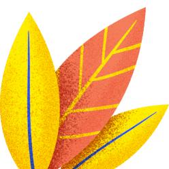 2021遂川中学录取分数线,遂川体育特长生中考录取分数线