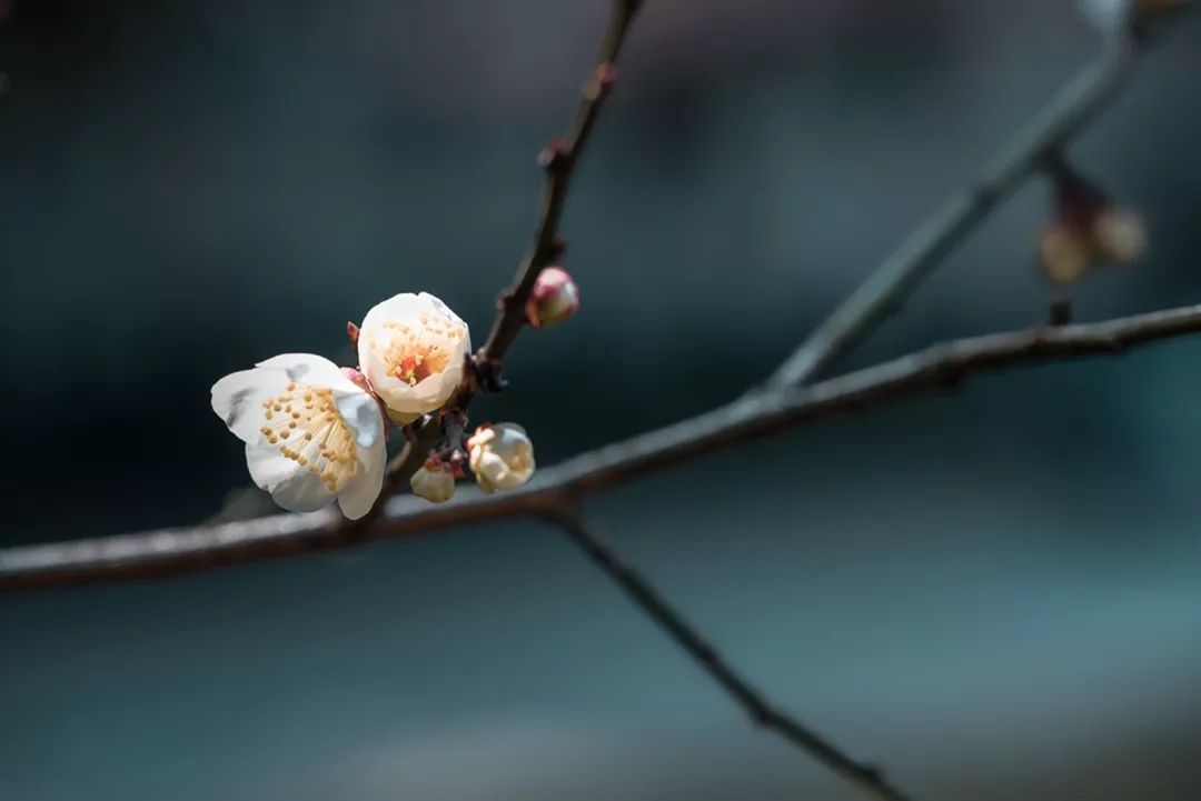 腾讯、联通、新东方都准备来华师“抢人”，本周就业讲座通知汇总，赶紧安排一下！