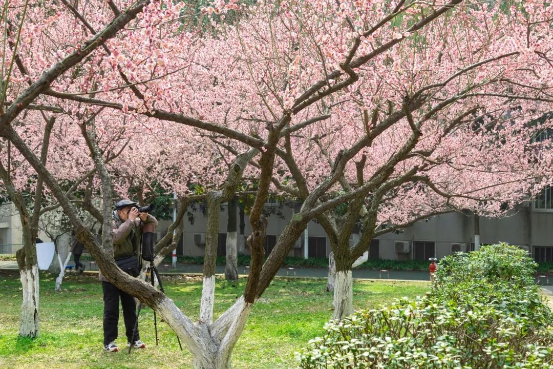 腾讯、联通、新东方都准备来华师“抢人”,本周就业讲座通知汇总,赶紧安排一下!