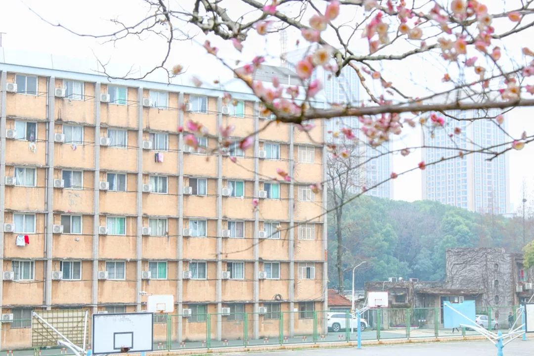 腾讯、联通、新东方都准备来华师“抢人”，本周就业讲座通知汇总，赶紧安排一下！