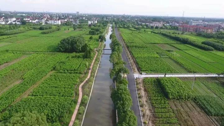 美丽乡村繁花似锦,美丽乡村风景如画