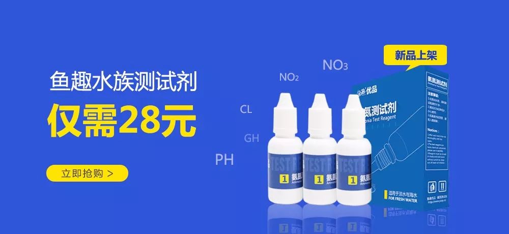 怎么样孵化火狐,火焰仙怎么孵化