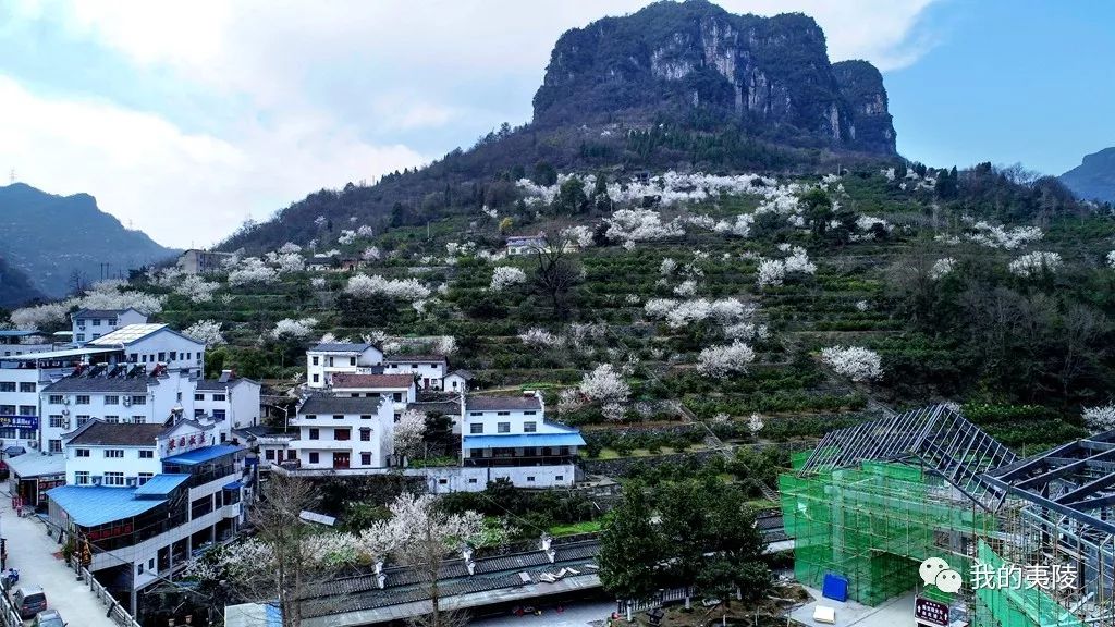 夷陵美|冬去春来~