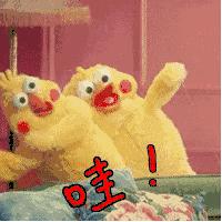 无锡体育中心暂停开放,无锡体育中心最新消息