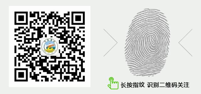 【以案释法】一男子破坏生产、寻衅滋事、阻碍执法……恶果累累终被判刑