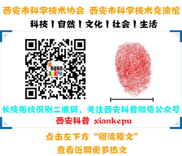 古人给未来妻子的定情信物,古人用哪种物件作为定情信物