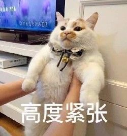 夸夸彩虹屁,夸夸群懵圈猛夸3分钟