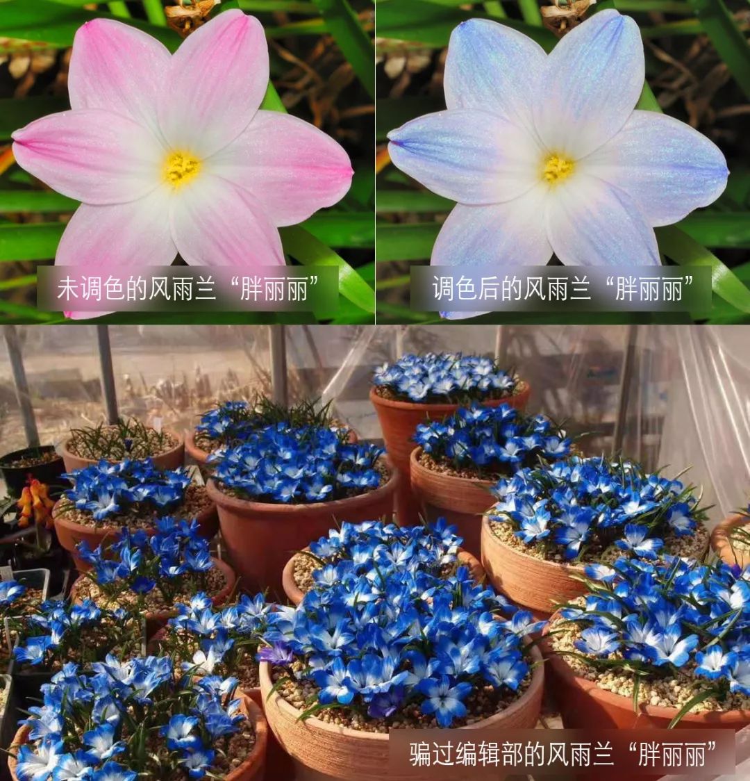 三个方法看透所有谎言,三个方法辨别谎言