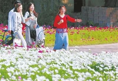 斗门为什么叫斗门,外地人眼中的斗门