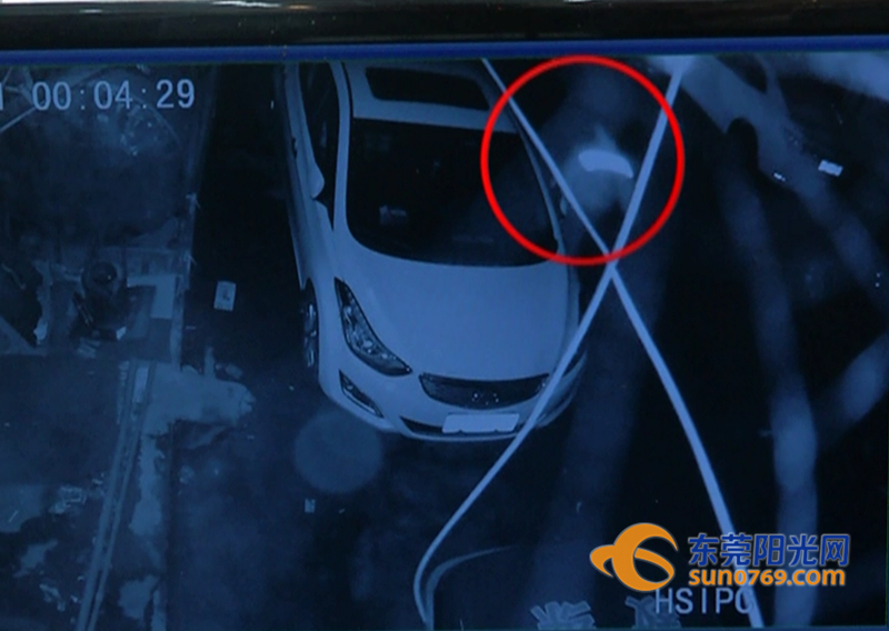 两名男子借酒“行凶”路边多辆汽车惨遭毒手