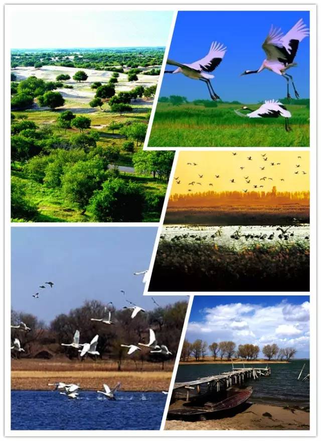 收藏100块钱,收藏出去玩的票