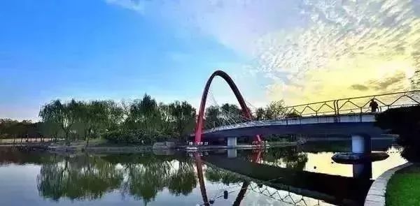 上海70岁老人免费景点大全,上海自驾游免费景点