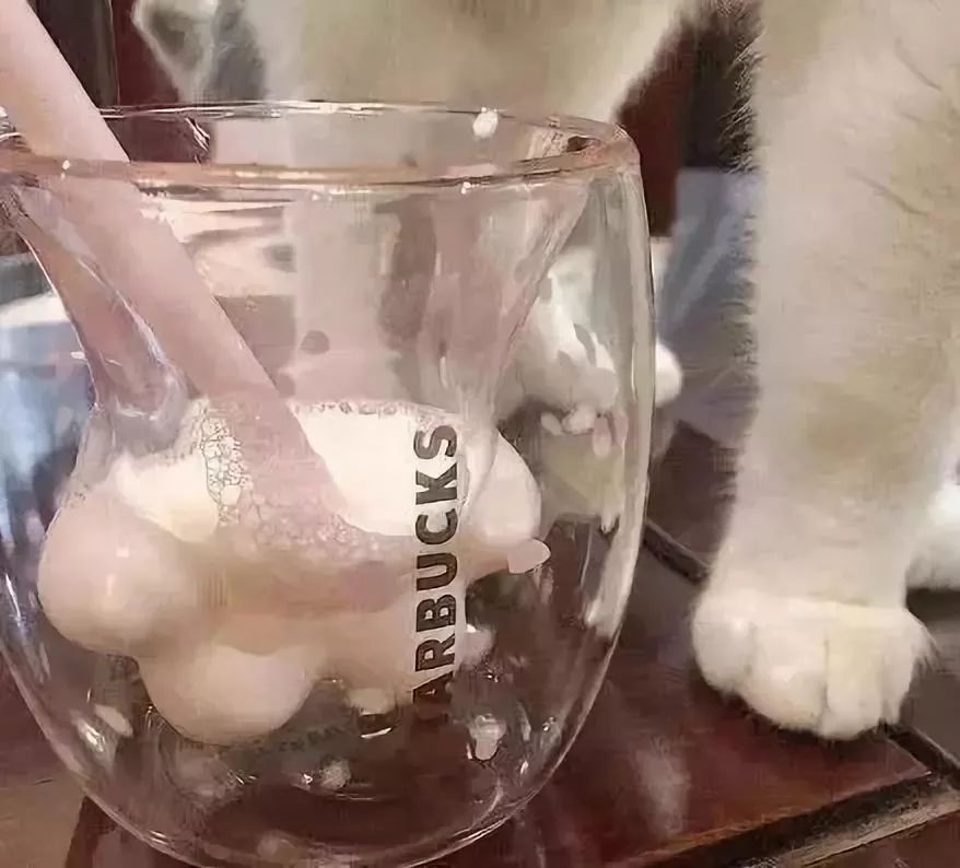 猫爪杯鉴定真假,猫爪杯骗局揭秘