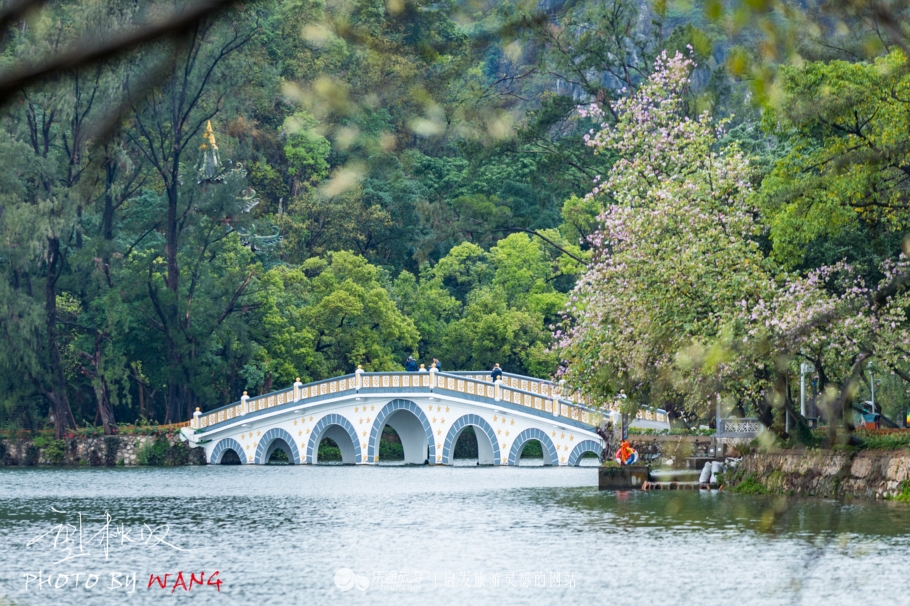 七仙女下凡到人间仙女湖,七仙女下凡人间仙境