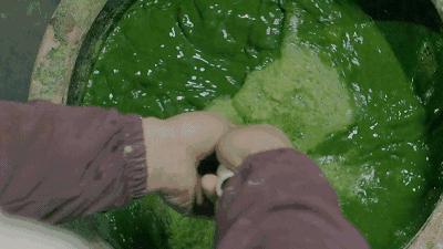 百团大战团结一心,百团大战前夕