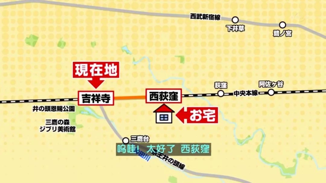 日本街头采访中国女孩,日本街头采访女子回答出乎意料